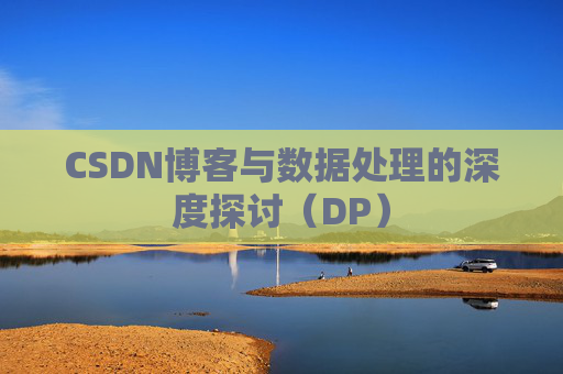 CSDN博客与数据处理的深度探讨（DP）